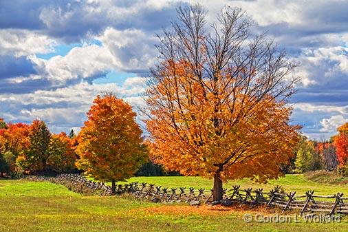 Autumn Landscape_29324.jpg - Photographed near Carleton Place, Ontario, Canada.